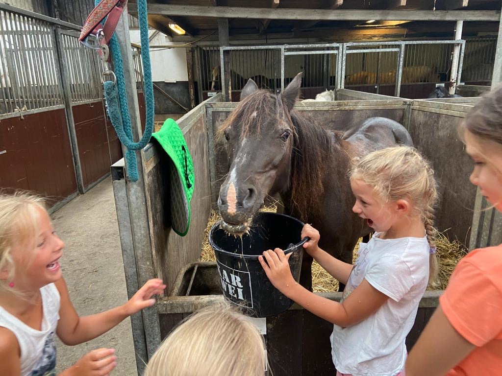 Pony Ontdek Middag – vanaf 7 oktober